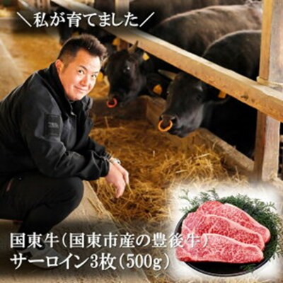 国東牛(国東市産の豊後牛)サーロイン3枚(計500g)_2213R