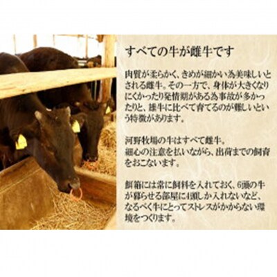 国東牛(国東市産の豊後牛)サーロイン3枚(計500g)_2213R