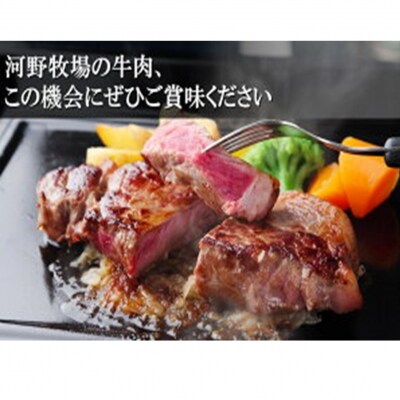 国東牛(国東市産の豊後牛)サーロイン3枚(計500g)_2213R