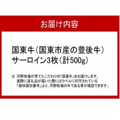 国東牛(国東市産の豊後牛)サーロイン3枚(計500g)_2213R