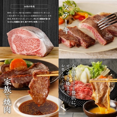 【豊後牛/お楽しみセット】カルビ焼肉用 & 赤身すき焼き用 & 霜降りサーロインステーキ_2186R