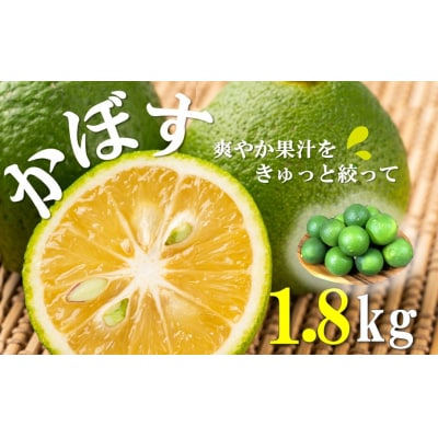 素材を活かす名脇役 大分県産かぼす1.8kg_2254R