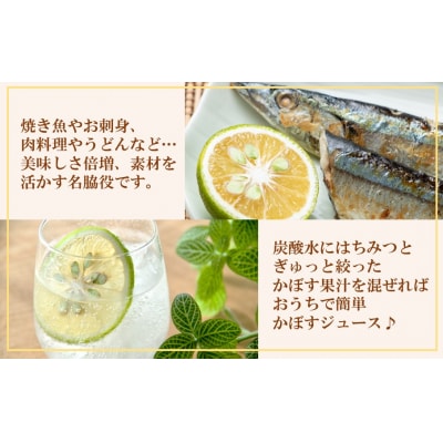 素材を活かす名脇役 大分県産かぼす1.8kg_2254R