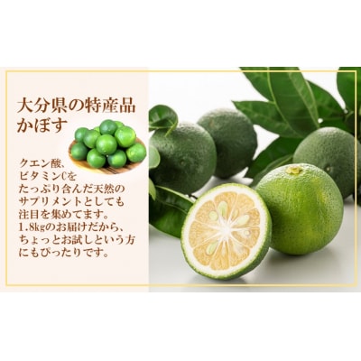 素材を活かす名脇役 大分県産かぼす1.8kg_2254R