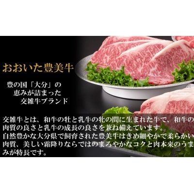 おおいた豊美牛肩ローススライス 600g (300g×2P)_2260R