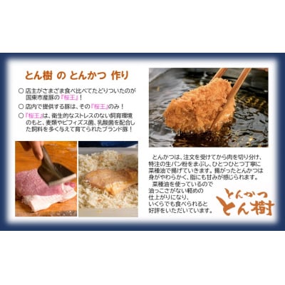 大分市府内町で国東産豚を食す「とんかつとん樹」お食事券Bコース1名様(上ヒレカツ定食)2330R-2