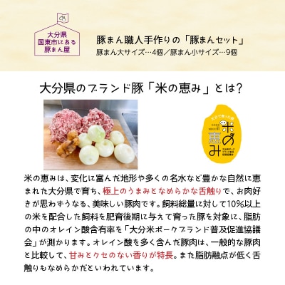 豚まん職人手作りの「豚まんセット」_1488R