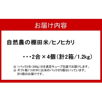 ギフト用/自然農の掛け干し棚田米 ヒノヒカリ 真空キューブ 2合×4個(2箱)_2352R