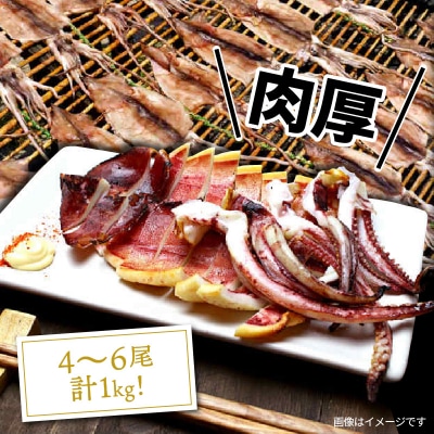 逸品!肉厚烏賊の一夜干し1kg_2366R