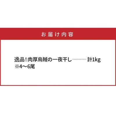 逸品!肉厚烏賊の一夜干し1kg_2366R