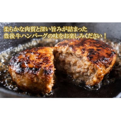 【黒毛和牛】豊後牛ハンバーグ計1.02kg(170g×6個)_2378R