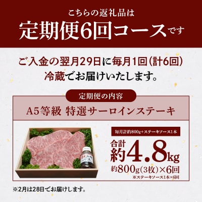【定期便6回】天草産 黒毛和牛 A5等級 特選 サーロインステーキ 3枚_S001-002-T06