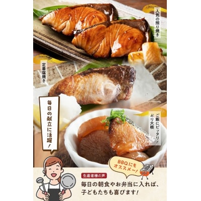 ブリ皮付ブロック約1kg (加熱用)_S010-076