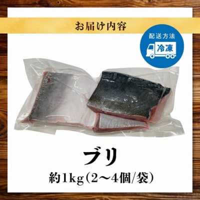 ブリ皮付ブロック約1kg (加熱用)_S010-076