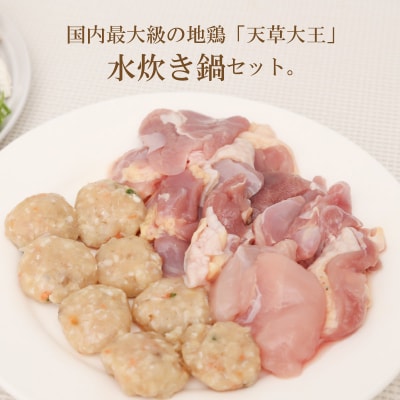 天草大王鍋セット(天草大王鶏肉・天草大王濃縮スープ・天草大王つみれ等)_S011-014A