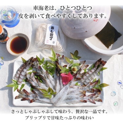 車海老のしゃぶしゃぶセット(車海老・ぽん酢・押し包丁麺・ゆず胡椒・昆布)_S011-016A