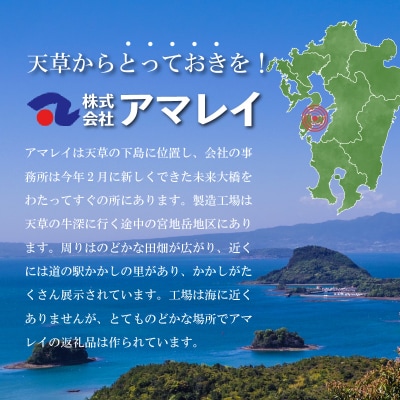 天草灘干物セット(天然鯛、ミズイカ、アジのささ塩干し・車海老みそ漬等)_S011-023A