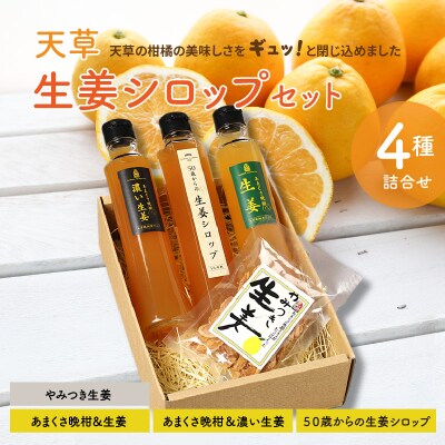 天草　生姜シロップセット_S024-008A