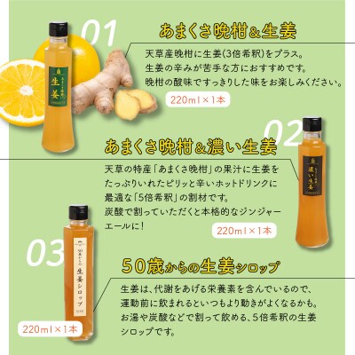 天草　生姜シロップセット_S024-008A