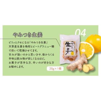 天草　生姜シロップセット_S024-008A