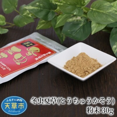 冬虫夏草(とうちゅうかそう)粉末 30g_S037-001A