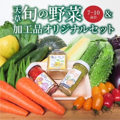 天草旬の野菜(7～10品目)&加工品 オリジナルセット_S047-001A