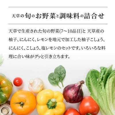 天草旬の野菜(7～10品目)&加工品 オリジナルセット_S047-001A