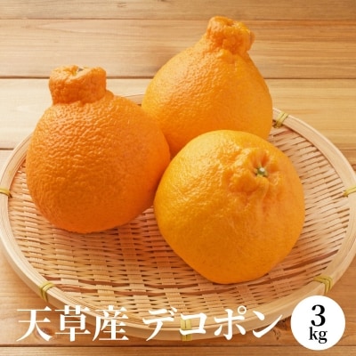 天草産 デコポン 3kg〈先行受付〉_S053-002B