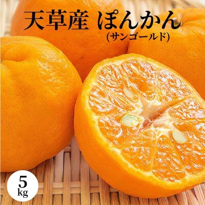 天草産 ぽんかん(サンゴールド)5kg〈先行受付〉_S053-004A