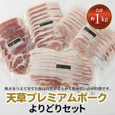 天草プレミアムポーク よりどりセット 約1kg_S058-018A