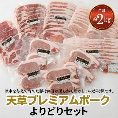 天草プレミアムポーク よりどりセット約2kg_S058-019A