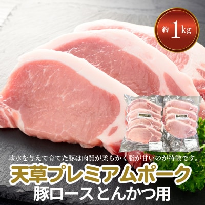 天草プレミアムポーク とんかつ用 ロース 8枚 約1kg_S058-020A