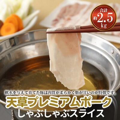 天草プレミアムポーク しゃぶしゃぶスライス(ロース バラ )約2.5kg_S058-022A