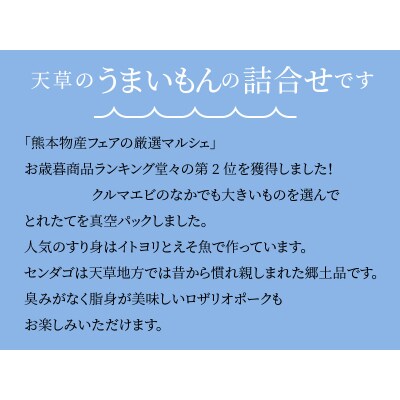 天草わくわく便セット(冷凍車海老、魚のすり身、ロザリオポークなど)_S059-001A