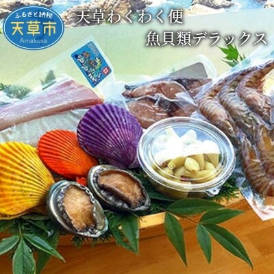 天草わくわく便 魚貝類デラックス(活きあわび、車海老大パックなど)_S059-002A