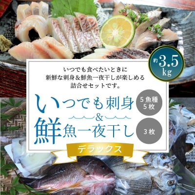 いつでも刺身 5魚種 5枚&鮮魚一夜干し 3枚 デラックス_S059-006A