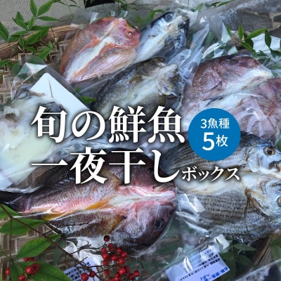 旬の鮮魚一夜干しボックス 3種5枚セット 干物_S059-007A