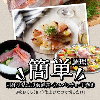 天草わくわく旬魚刺身づくし(さく)3～4人前_S059-013A