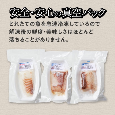 天草わくわく旬魚刺身づくし(さく)3～4人前_S059-013A