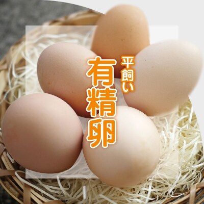 平飼い 有精卵 30個 卵 たまご_S061-004