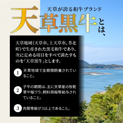 天草黒牛 しゃぶしゃぶ用 もも肉 約500g A4等級以上～_S074-014