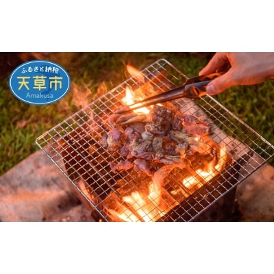 「天草大王」味付け肉 約5～6人前_S081-010A