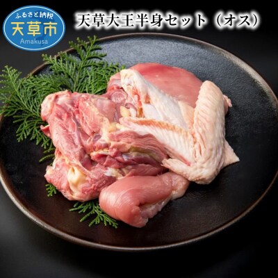 天草大王半身セット(オス)_S081-012A