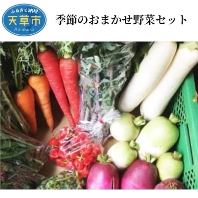 季節のおまかせ野菜セット_S096-002A