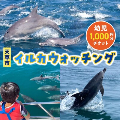 天草市イルカウォッチング　1,000円分チケット幼児(2歳以上)_S104-003