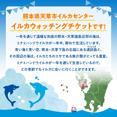 天草市イルカウォッチング　1,000円分チケット幼児(2歳以上)_S104-003