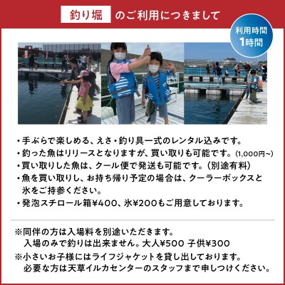 天草市イルカウォッチング+釣り堀　小人(小学生)　4,000円分チケット_S104-005