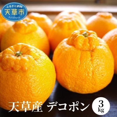 天草産　デコポン　3kg〈先行受付〉_S107-003A