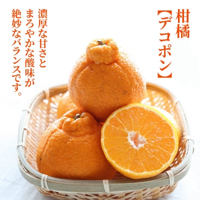 天草産 デコポン 3kg〈先行受付〉_S107-003A | 熊本県天草市