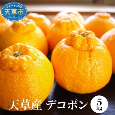 天草産　デコポン　5kg〈先行受付〉_S107-004A